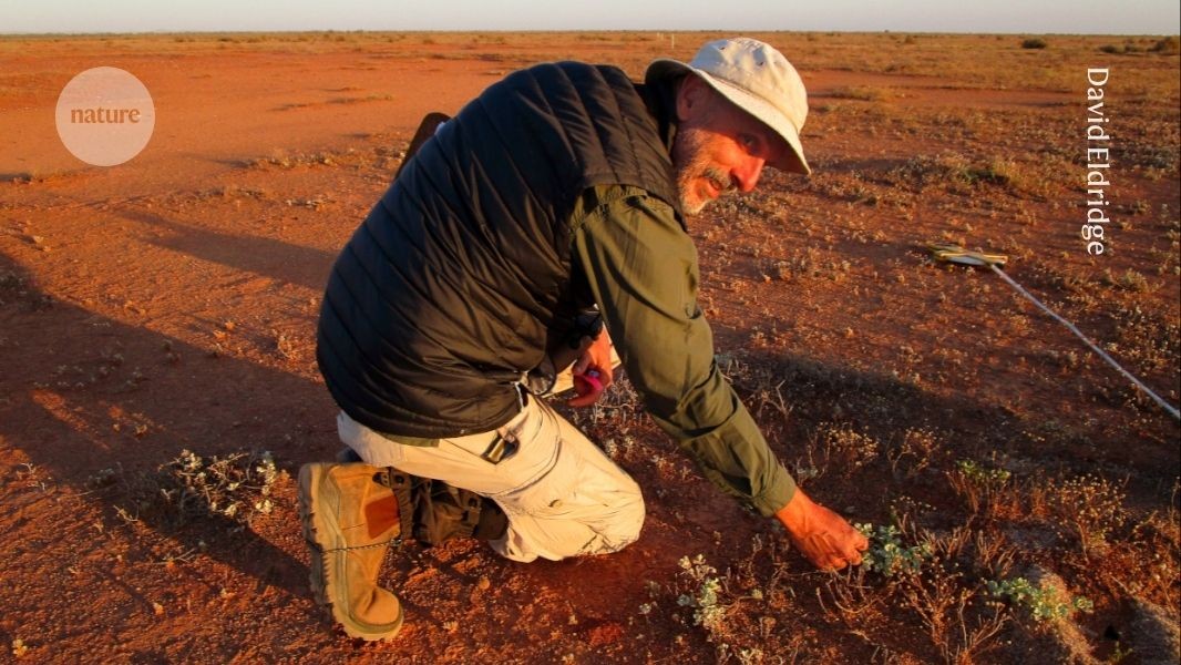 How hidden contributions power modern research